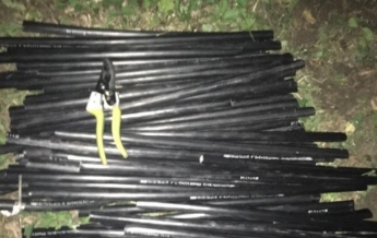 В Киеве иностранцы украли 80 метров кабеля правительственной связи