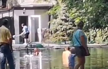 Когда нет денег на Кирилловку. В парковом пруду двое мужчин устроили купание (видео)