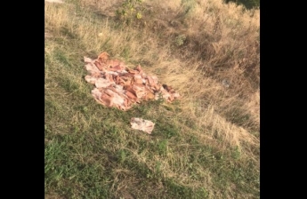 Под Запорожьем возле трассы выкинули много мяса (Фото)