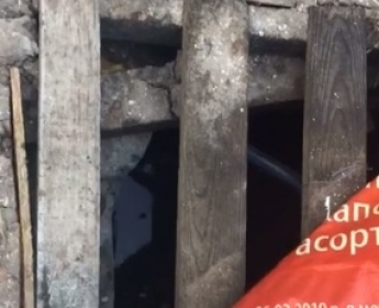 В Кирилловке общественники вычислили еще одну базу отдыха, которая сливает нечистоты в лиман (фото, видео)