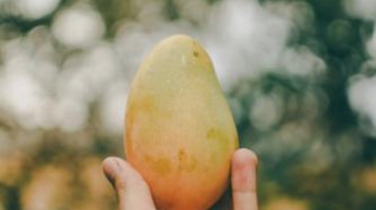 Почему нужно есть манго: топ-3 причины