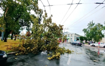 В Киеве ураган повалил 120 деревьев (фото)