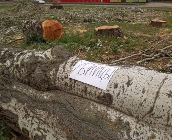 В Мелитополе на спиленных деревьях кто-то наклеивает листы с надписями «убийцы» (фото)