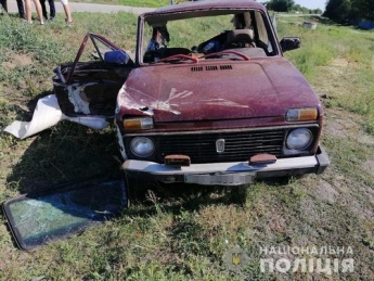 В Запорожской области легковушка слетела в кювет: есть погибшие (ФОТО)
