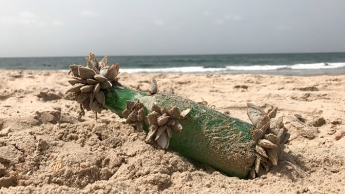 Море выбросило на берег бутылку с загадочным посланием внутри (фото)
