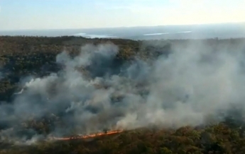 В лесах Бразилии рекордное количество пожаров