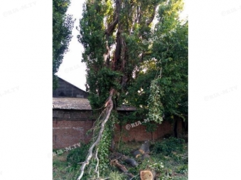 В праздничный день 30 домов в Мелитополе остались без электричества (фото)