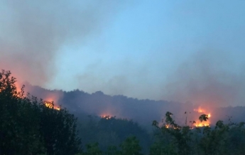 На Закарпатье масштабный пожар: горят виноградники и лес (фото)