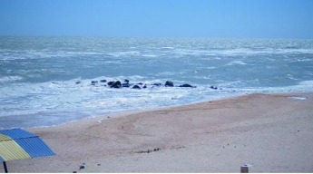 У берега опустевшей Кирилловки бушует шторм (фото, видео)