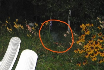 Житель Запорожья пытался найти призраков на местном кладбище домашних животных (ВИДЕО)