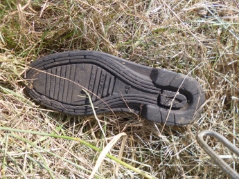 В поле под Мелитополем найден полуразложившийся труп человека
