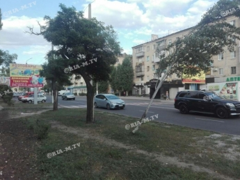 Гром не грянет - в Мелитополе на центральном проспекте "на честном слове" держится дерево (фото)
