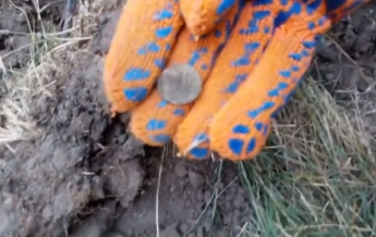 В поле под Мелитополем копатели обнаружили артефакт (видео)
