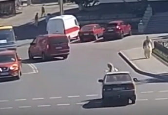 Светофор ничего не гарантирует - появилось жуткое видео, как сбили женщину на пешеходном переходе