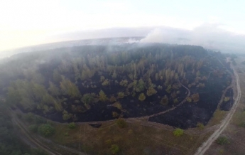 На Полтавщине сгорели десятки гектаров леса