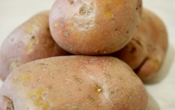 Украина купила рекордное количество картофеля