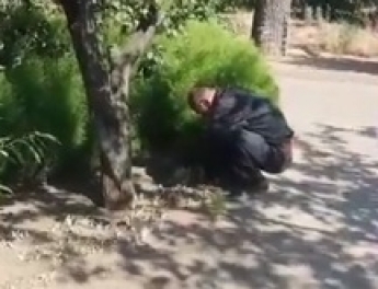 Хозяева не смутили - невозмутимый наркоман искал закладку в кустах (видео)