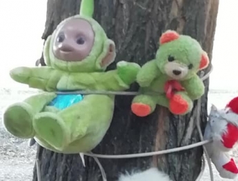 В Запорожье «дерево распятий» мягких игрушек пугает местных жителей (ФОТО)