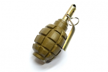 В Мелитополе возле школы нашли гранату современного образца