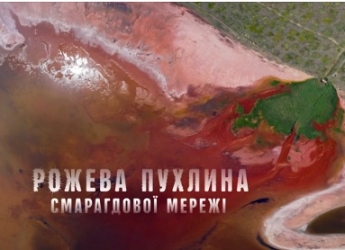 Розовую опухоль Азовского моря показали экологи с высоты (видео)