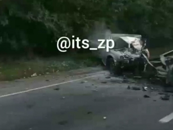 На Запорожской трассе жуткая авария - есть жертвы (фото, видео)