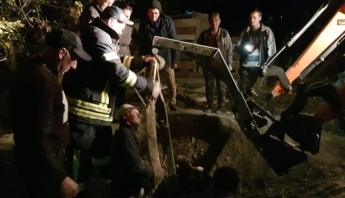 В Запорожской области спасатели доставали корову из ямы (ФОТО)