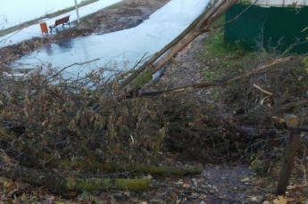 Одну из улиц Запорожья завалило деревьями (ФОТО)