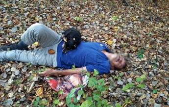 На Закарпатье в лесу собака спасла жизнь хозяину (фото)