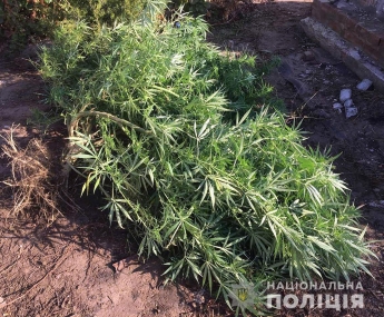 По трем адресам полиция нашла наркотики во время обысков в Мелитополе (фото)