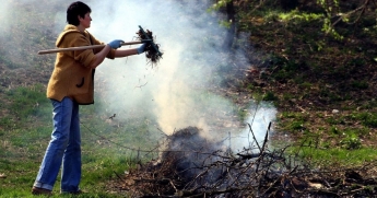 Выбросы из сожженных листьев в 350 раз хуже сигареты - эколог