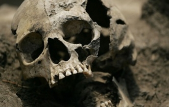 У мексиканских наркодилеров нашли алтарь из человеческих черепов