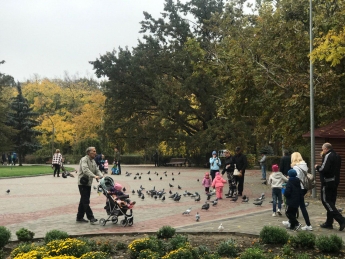 Визитную карточку парка Горького в Мелитополе показали с высоты птичьего полета (видео)
