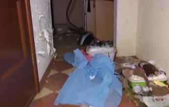 Женщина бросила 40 котов и собаку в арендованной квартире (видео)