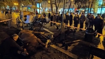 Напуганные петардой лошади тяжело травмировали девушку в центре Львова