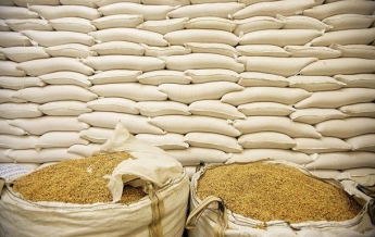 Украина экспортировала рекордный объем зерновых