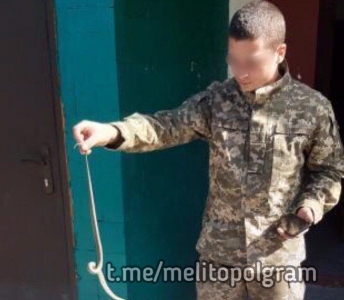 В Мелитопольской многоэтажке пряталась змея (видео)