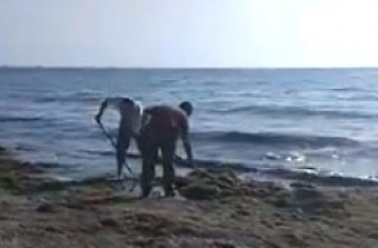 Сизифов труд. Берег Азовского моря чистят странным образом (видео)