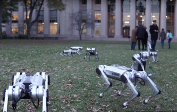 В США роботов-собак выгуляли в парке (видео)