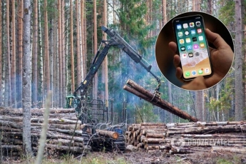 Лес в смартфоне: в Кабмине рассказали об успехах проекта