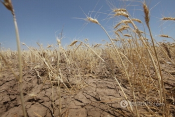 Тысячи людей в опасности: стало известно, чем грозит засуха в Крыму