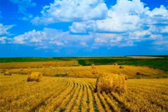При открытии рынка земли в Украине один гектар будет продаваться на уровне $2200, - замминистра экономики Высоцкий