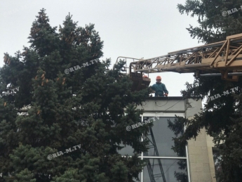 В Мелитополе уже устанавливают елку (фоторепортаж)