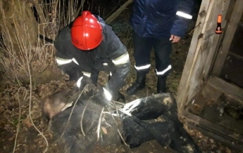 На Днепропетровщине спасатели достали мужчину из уличного туалета