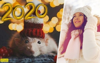 Белая Крыса подарит новую жизнь: астролог назвал везунчиков 2020 года