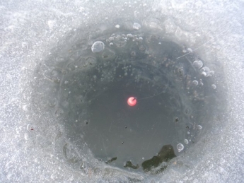 Под Запорожьем рыбаки, рискуя жизнью, вышли на тонкий лёд (ФОТО)