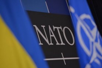 Верховная Рада приняла заявление о предоставлении Украине ПДЧ в НАТО