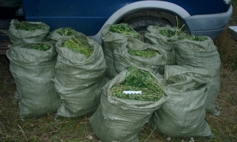 Житель Бердянска хранил 20 кг наркотиков