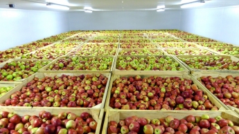 Мелитополь объединился с двумя ОТГ для совместной продажи плодово-овощной продукции