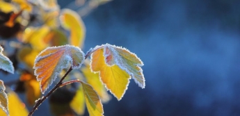 В Украину ворвется весеннее тепло: синоптики уточнили прогноз погоды