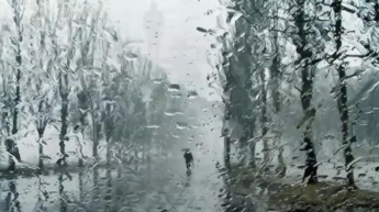 Штормовой ветер: синоптики дали прогноз погоды в Украине